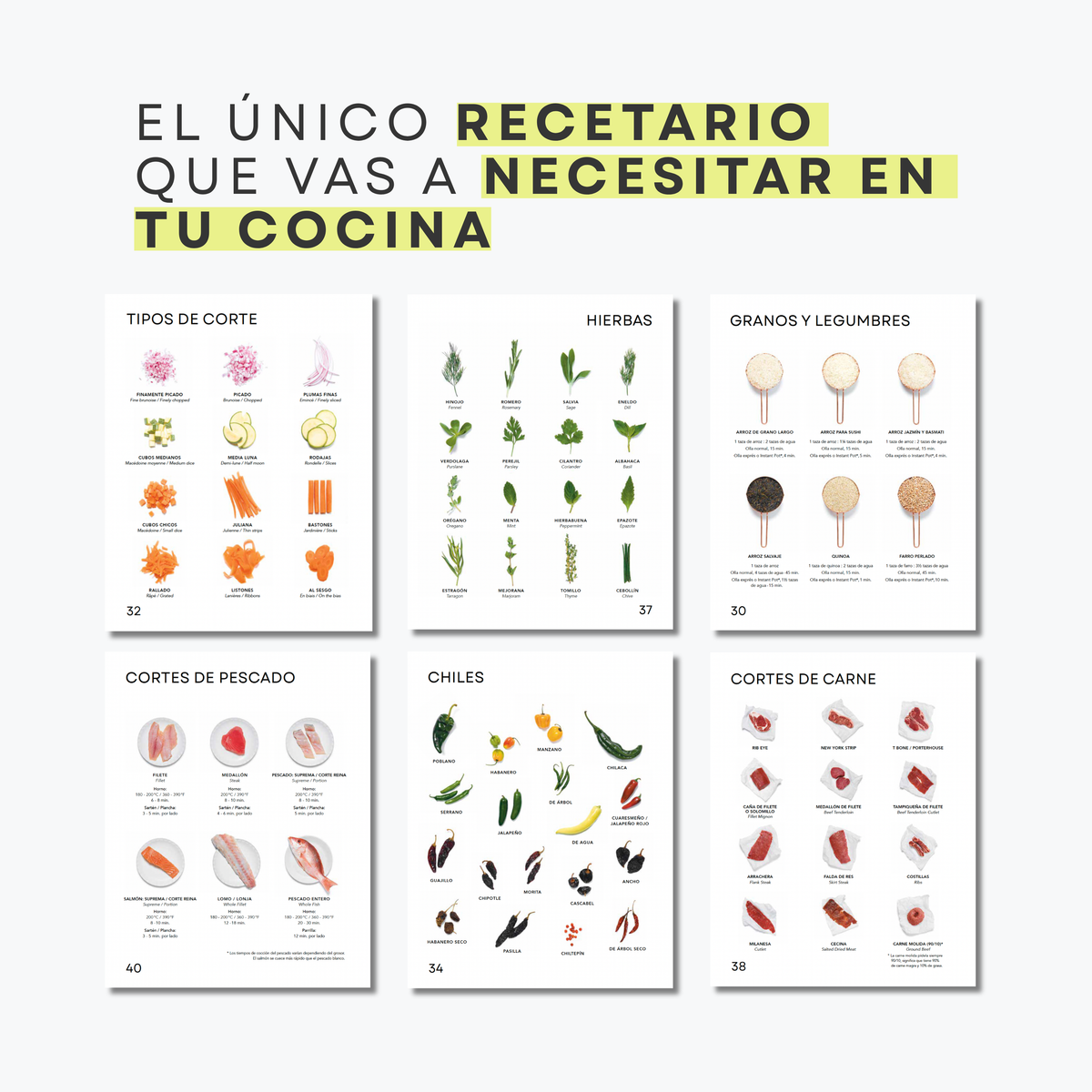 Libro BÁSICOS